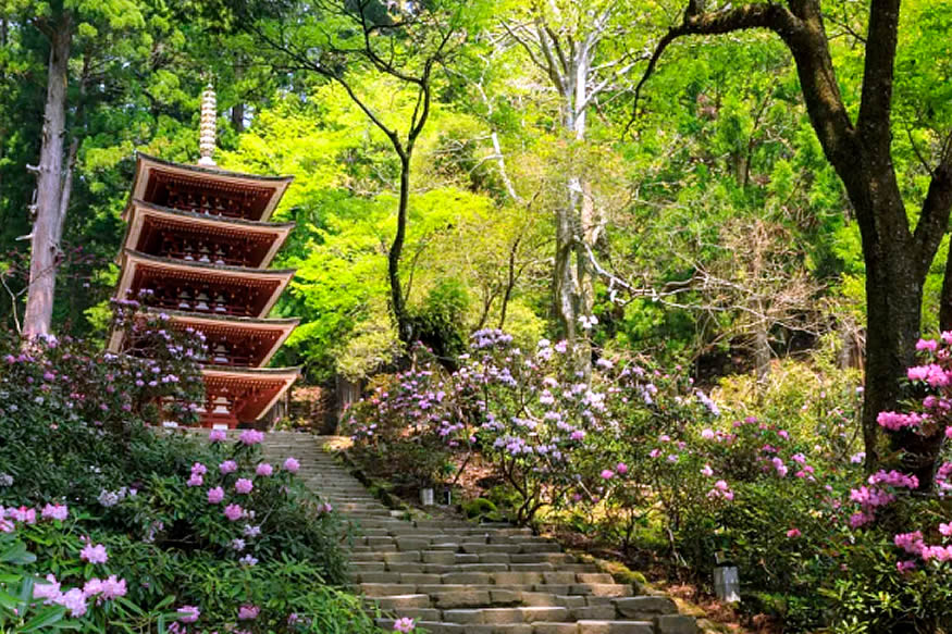 Un templo en Japón en la montaña y con una hermosa pagoda
