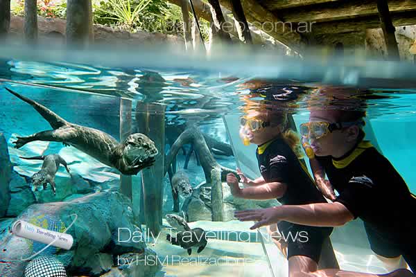 -Discovery Cove - Parques Temticos - SeaWorld Parks & Entertainment-