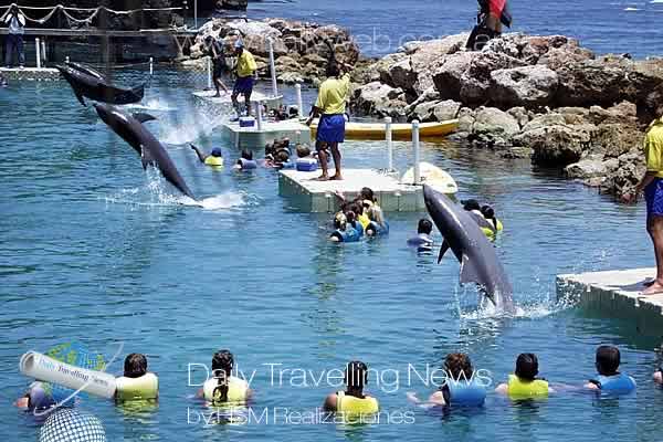 -Jamaica - Nadando con Delfines-