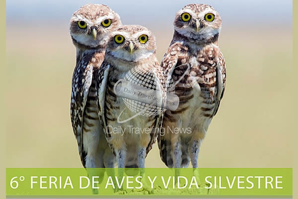 -Iber, 6ta Feria de Aves Silvestres-