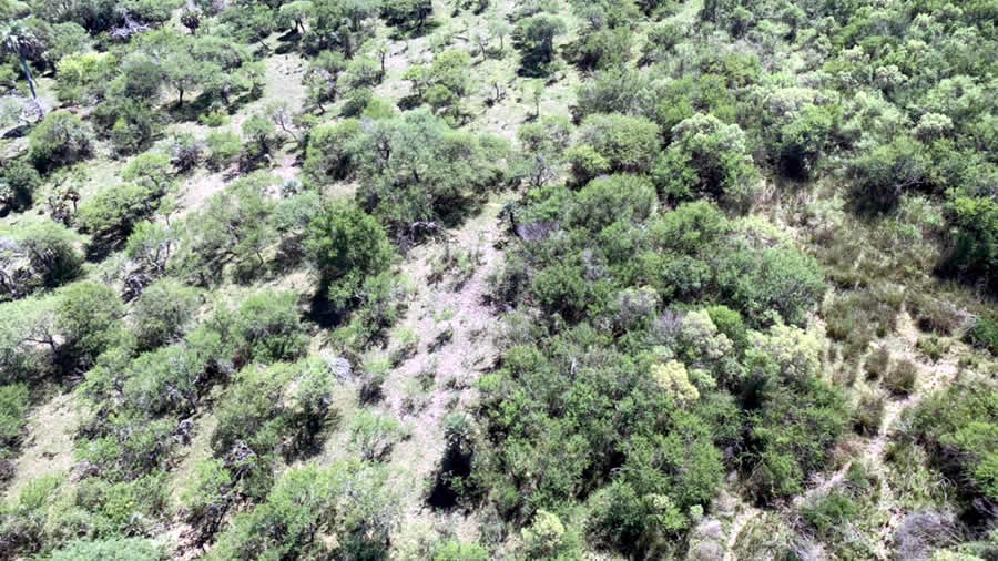 -Autoridades se renen para avanzar sobre el proyecto del Parque Nacional en la Selva de Montiel-