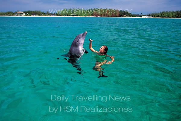 -Las Bahamas son el mejor lugar del mundo para nadar con delfines-