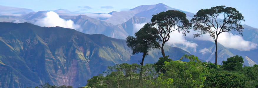 Jujuy consolida el Corredor Turístico de las Yungas