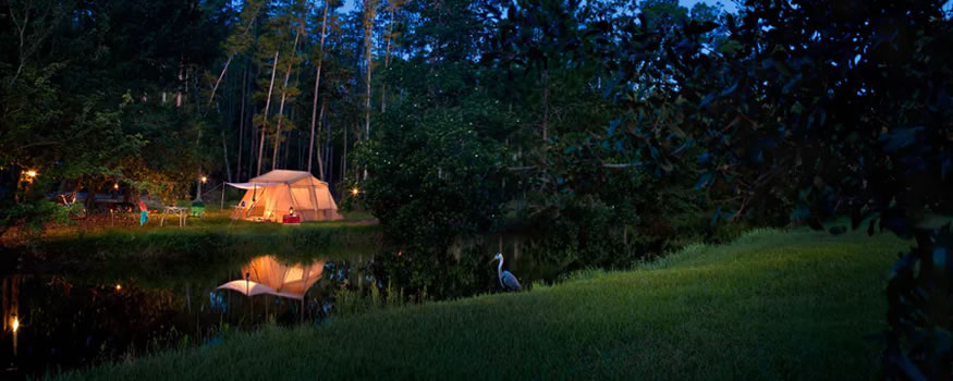 Disfrutar Disneyland y Disney World con las motorhomes de Cruise América