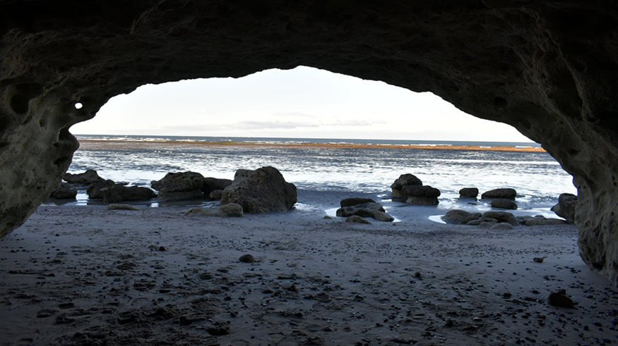 La primavera llega a Las Grutas tiñendo los paisajes de colores y aromas