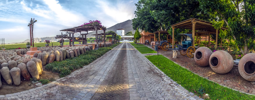 El Hotel Viñas Queirolo en Perú es ideal para los amantes del enoturismo