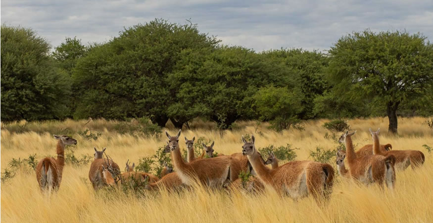 La Pampa atractivos