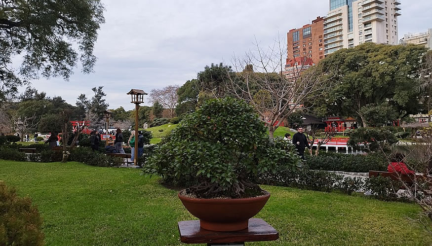 Jardín Japonés