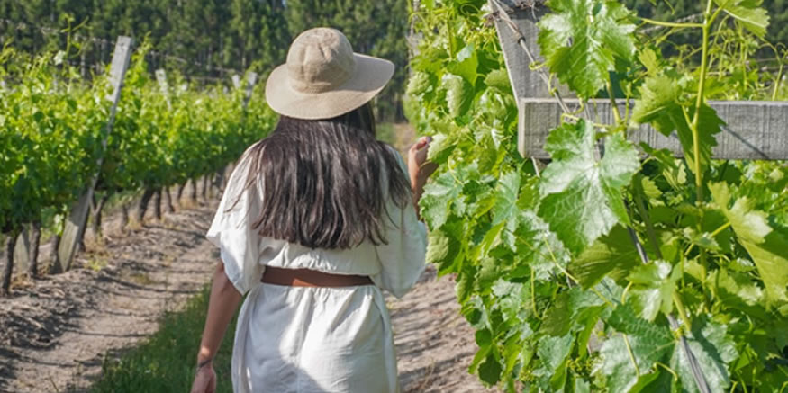 Turismo en Concordia: automovilismo, vino y nuevas propuestas para todo el año