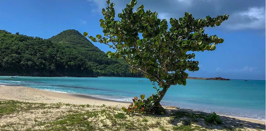 Antigua y Barbuda en FIT 2026