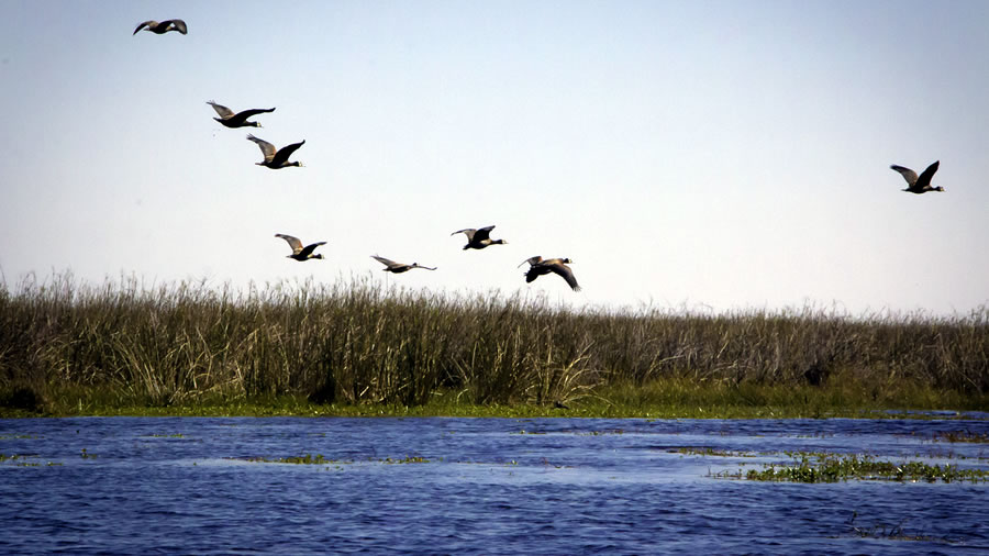 -Definen gestiones para el posicionamiento de Corrientes y su vinculacin con la regin-