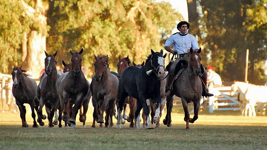 -VI Encuentro Nacional de Turismo Rural -