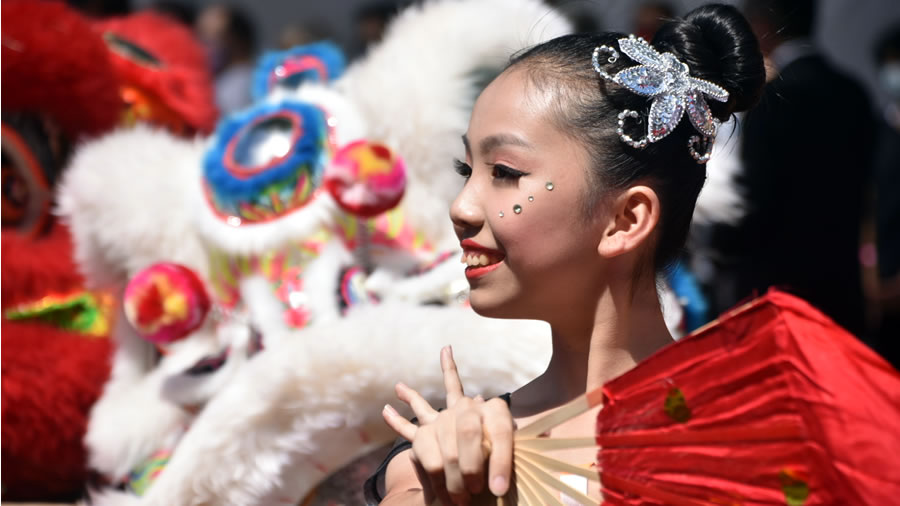 -El Ao del Conejo de Agua para festejar junto a la colectividad china-