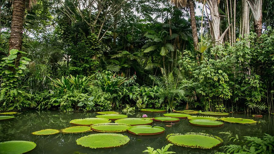 -Destinos brasileos que combinan el turismo con la integridad de los entornos naturales-