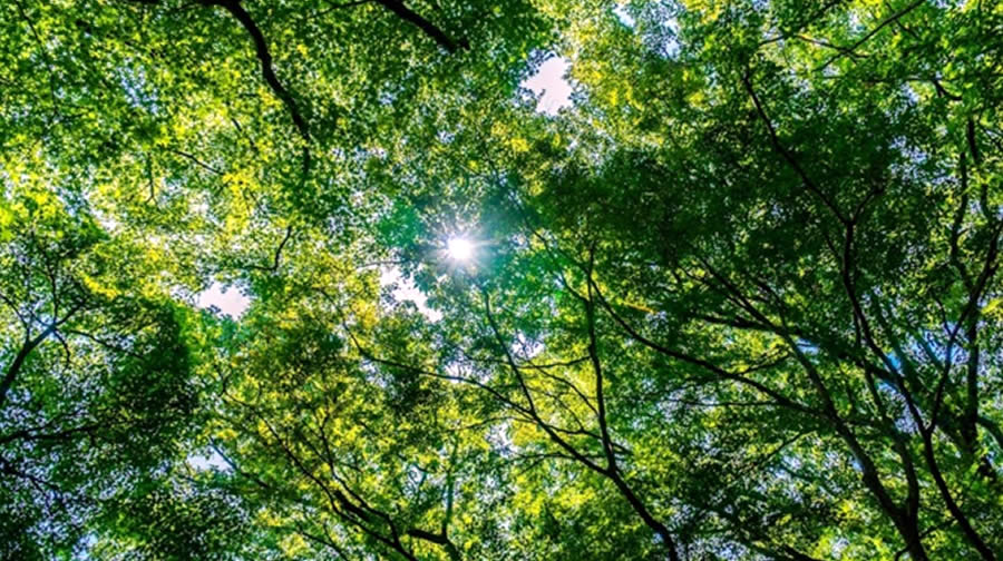 -Hoteles más verdes estará presente en la BIOFERIA 2023-