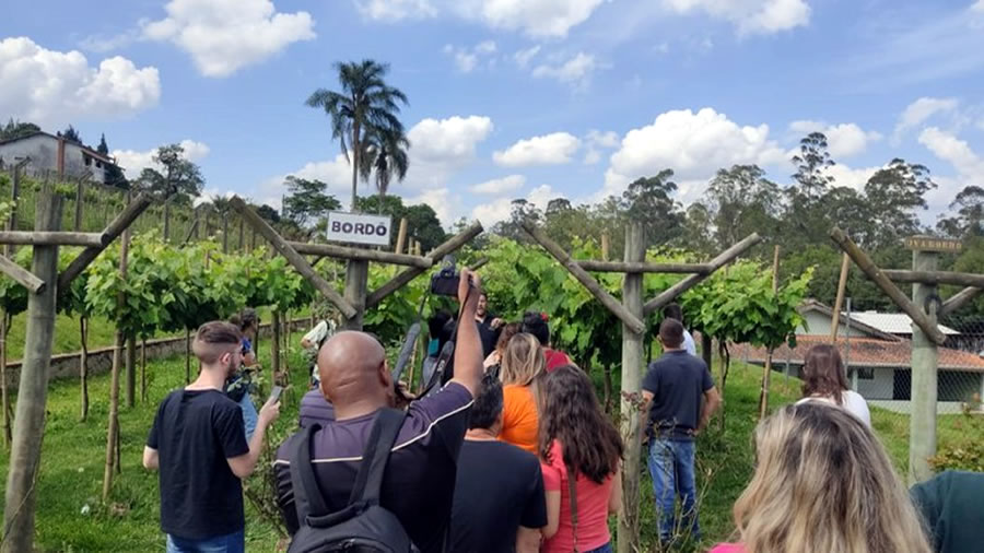 -Brasil apuesta al Turismo Rural-