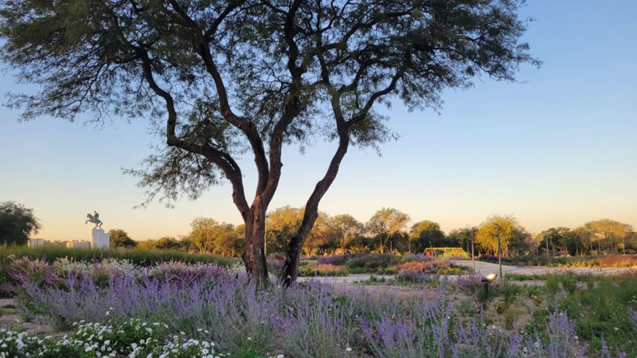 -El Parque Bustos ya es un nuevo espacio en Crdoba para disfrutar de la naturaleza-