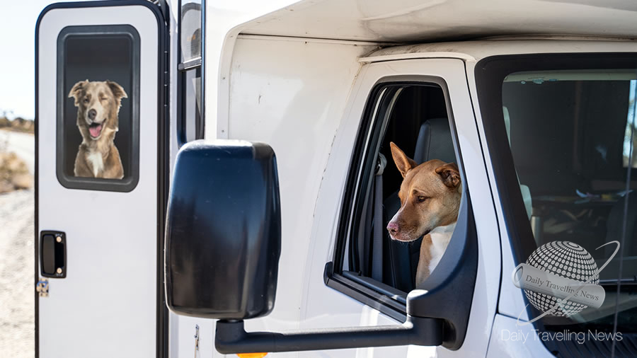 -Consejos para viajar con tu mascota en las motorhomes de Cruise America-