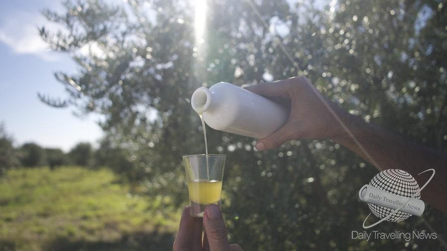 -Un recorrido por el Camino del Olivo de Córdoba-