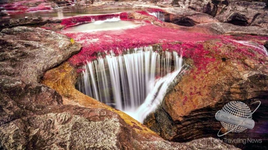 -Caño Cristales, Colombia, un destino seguro para el turista japonés-