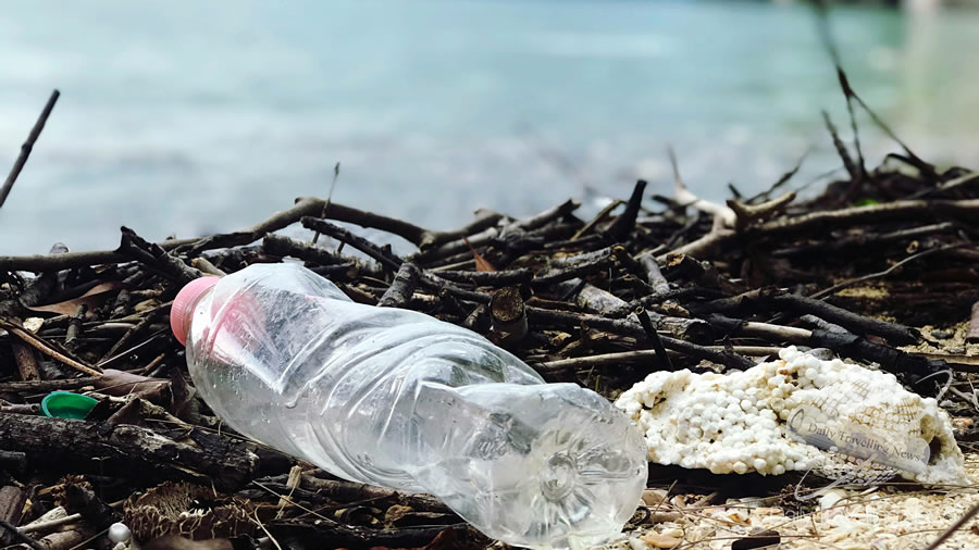 -Día Mundial del Medio Ambiente 2025-
