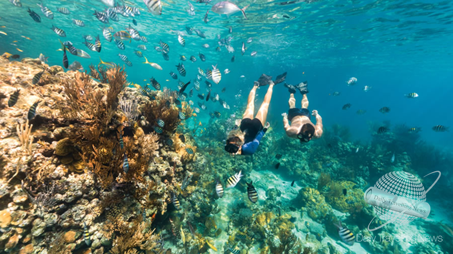 -Las Bahamas para buceadores-
