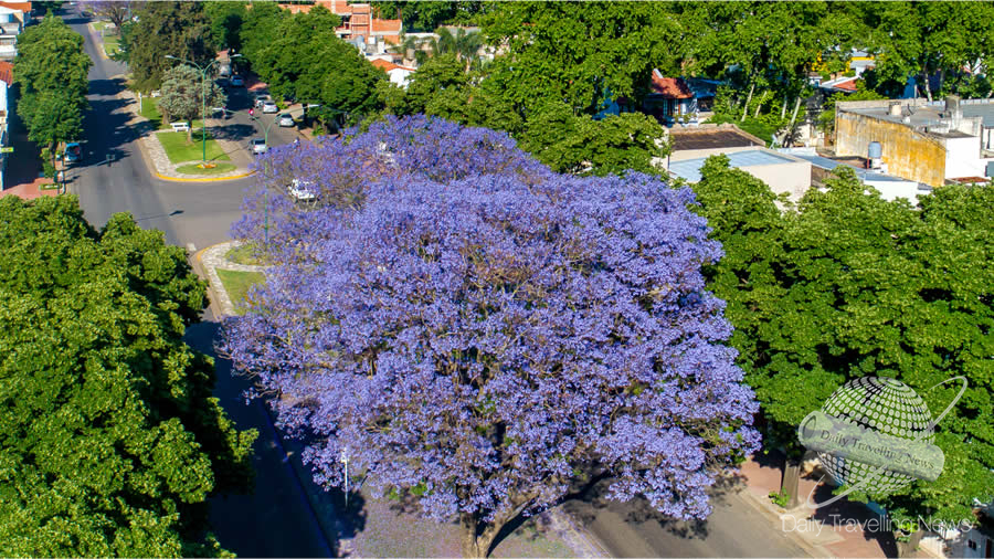 -Caminatas guiadas en Junín-