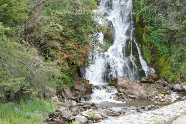 -Cascada en el camino del alero de la montaa-