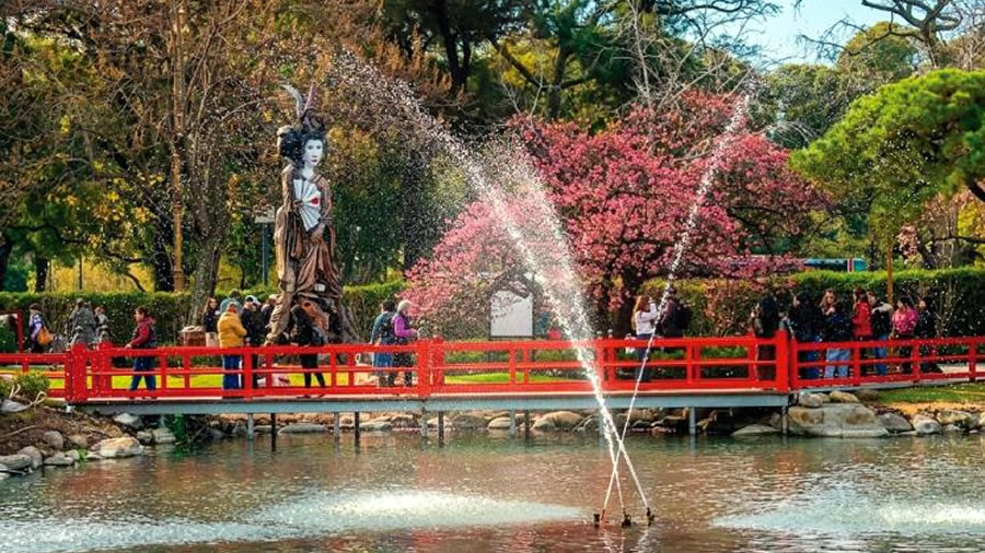 -El sendero de sakuras en el Jardín Japonés-
