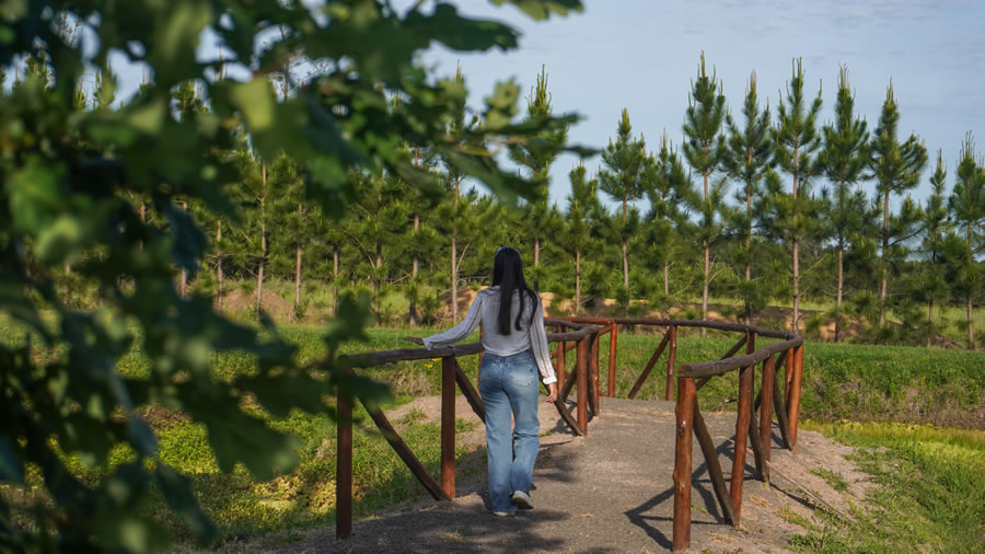 -Concordia - Vino sustentable y naturaleza-