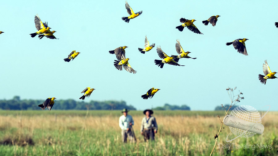 -Argentina se sumó a la gran jornada mundial de observación de aves-