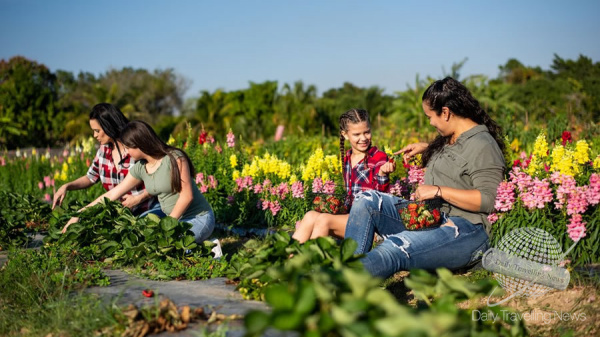Llega en noviembre Miami Farmers Month