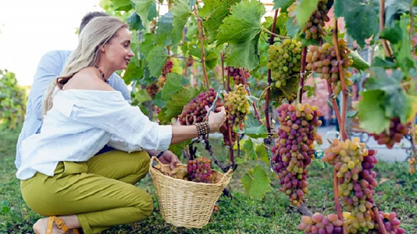 Colombia sigue conquistando a los latinoamericanos con sus experiencias, naturaleza y gastronomía