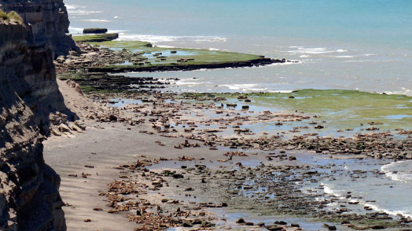 Viedma, un destino para disfrutar el verano entre playas, naturaleza y eventos destacados