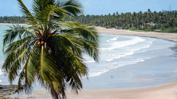 So Miguel dos Milagres es el lugar perfecto para conectarse con la naturaleza