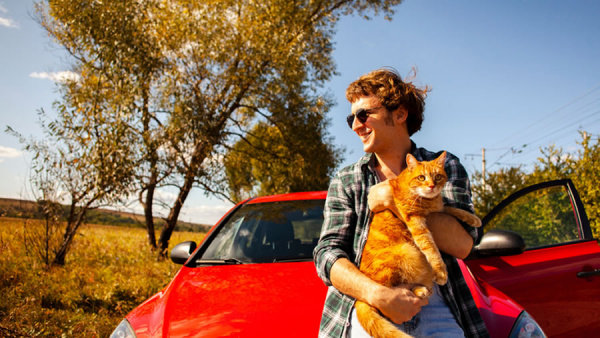 Destinos Petfriendly en Brasil