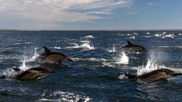 Vacaciones de invierno a orillas del mar en Rio Negro