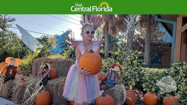 Los festivales de otoo y los eventos de Halloween mueven el Condado de Polk