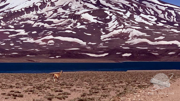 Una visita a Valle de Uco para disfrutar de todos sus atractivos