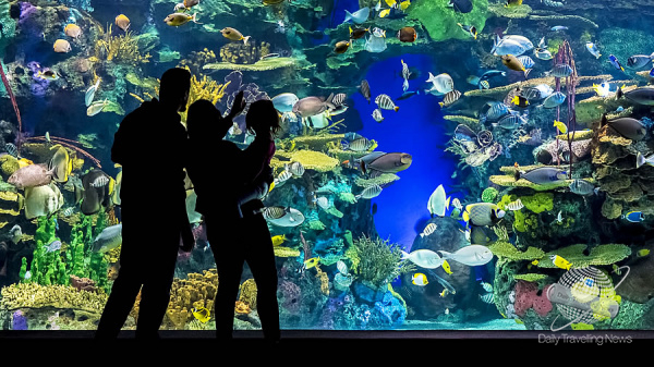 El Ripley's Aquarium de Canada se une al Toronto CityPASS