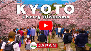 DailyWeb.tv - Recorrido Virtual por Kyoto en 4K