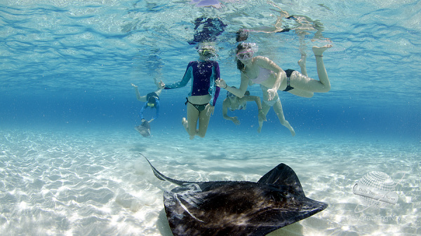 Islas Caimán: la escapada perfecta para el Mundial de Clubes