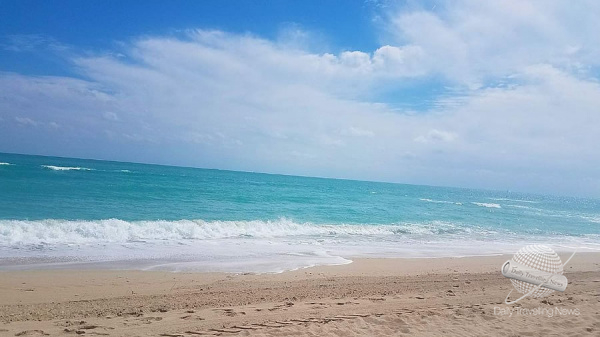 Las Últimas Novedades en Miami te esperan