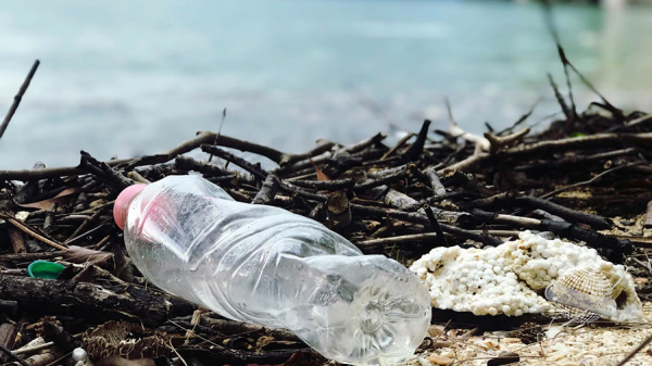 La República de Corea será el país anfitrión del Día Mundial del Medio Ambiente 2025