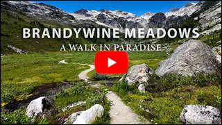 DailyWeb.tv - Recorrido Virtual por Brandywine Meadows en 4K