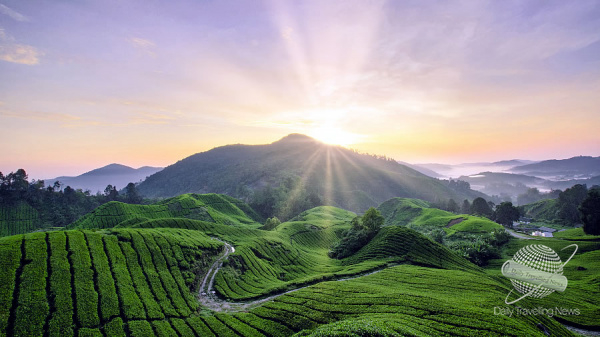 Malasia sin filtros: un viaje por la costa este entre cultura, mar y naturaleza