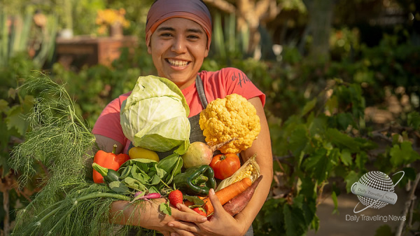 De la granja a la mesa: el sabor local y sostenible de Los Cabos